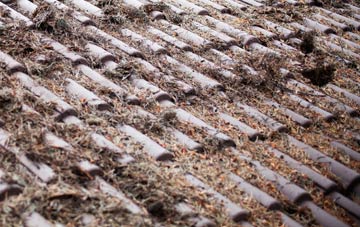 Halesworth roof cleaning companies